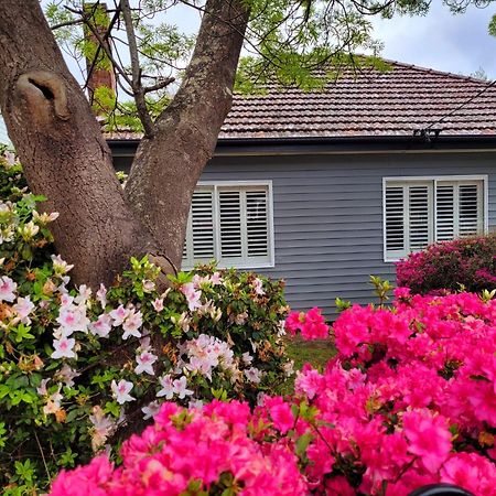 La Villette Sleeps 9 Fireplace Bbq Pet Friendly Katoomba Exterior photo